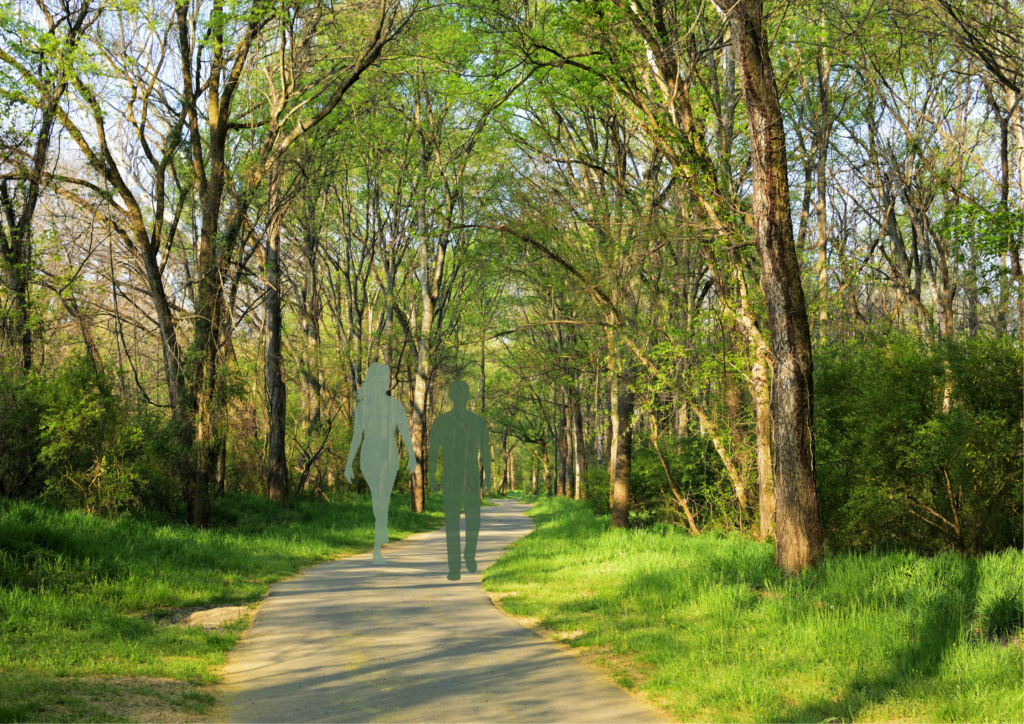 walk and talk walk and talk two people walking together down a path surrounded by trees.